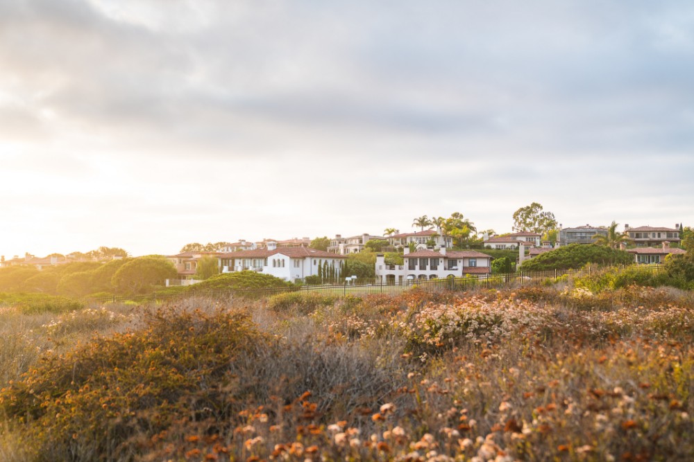 Homes & Crystal Cove State Park